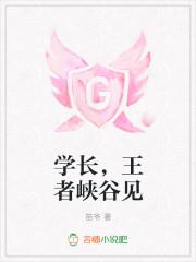 学长，王者峡谷见