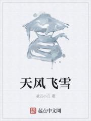 天风飞雪