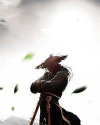 邪神猫咪同居手册